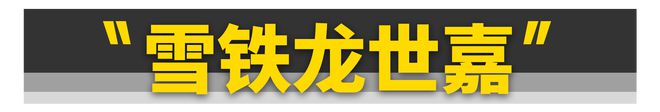 穷玩车、富玩表？不如玩这11款汽车仪表！(图33)